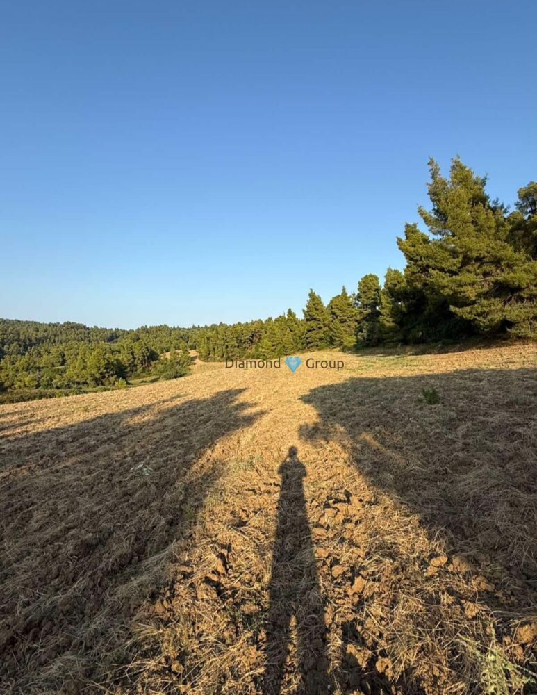 (for sale) Land Land || Chalkidiki Prefecture / Kasandra - 53400.0sq.m, 600.000€